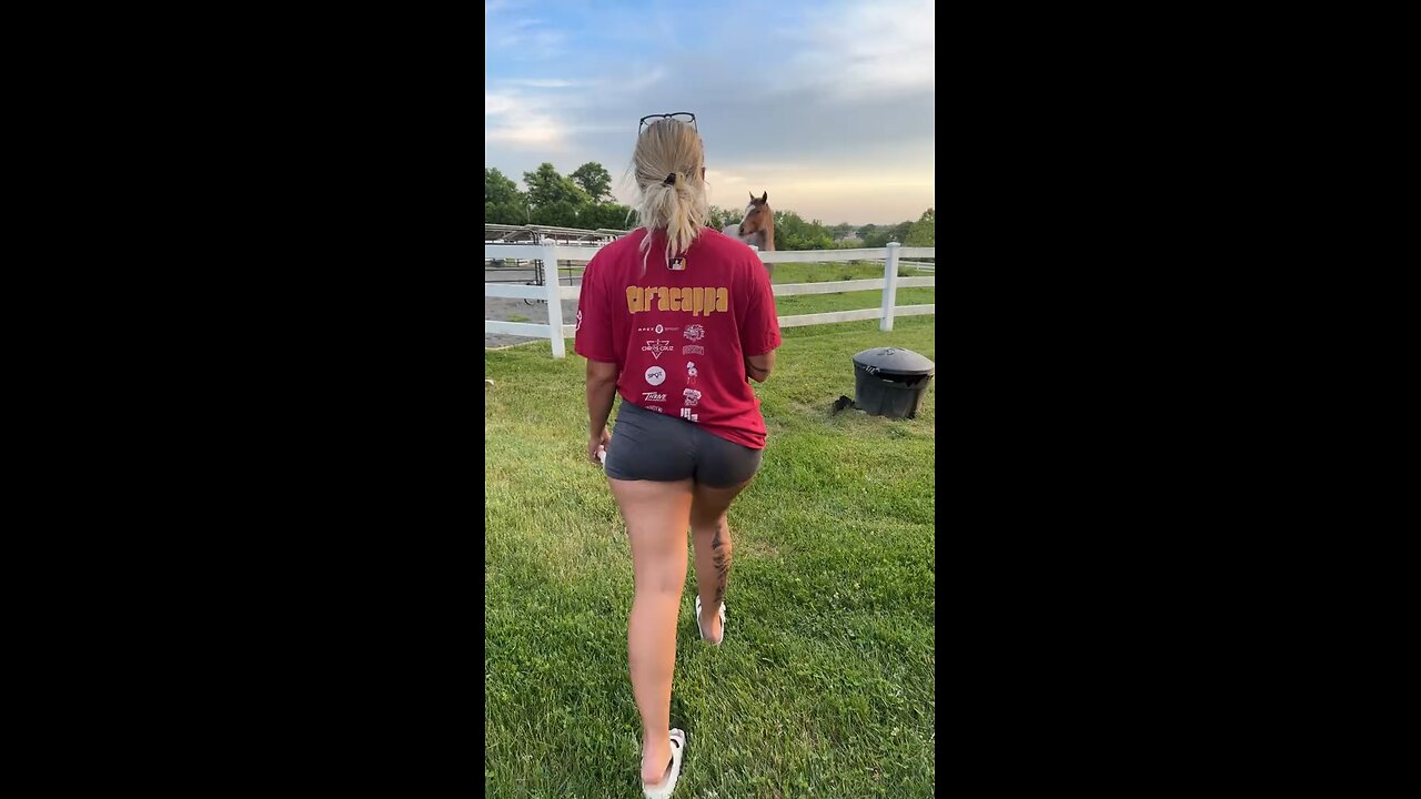 Treating the horses