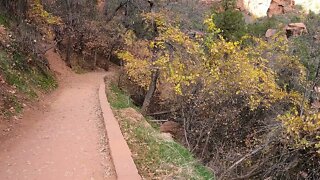 Zion National Park Lower Emerald Pool Trail