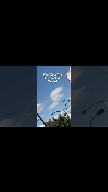 What does this Cloud look like to you? I see a Pigeon or Eagle