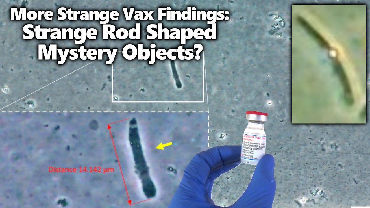 Analysis Of Moderna Vaccine Vial Shows Mystery Rod-like Objects & "Wide Spectrum of Structures"