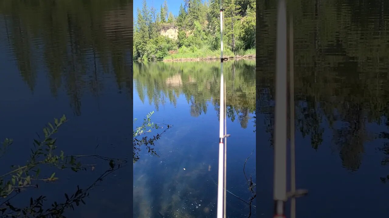 Lunch Break Bassin! #fishing