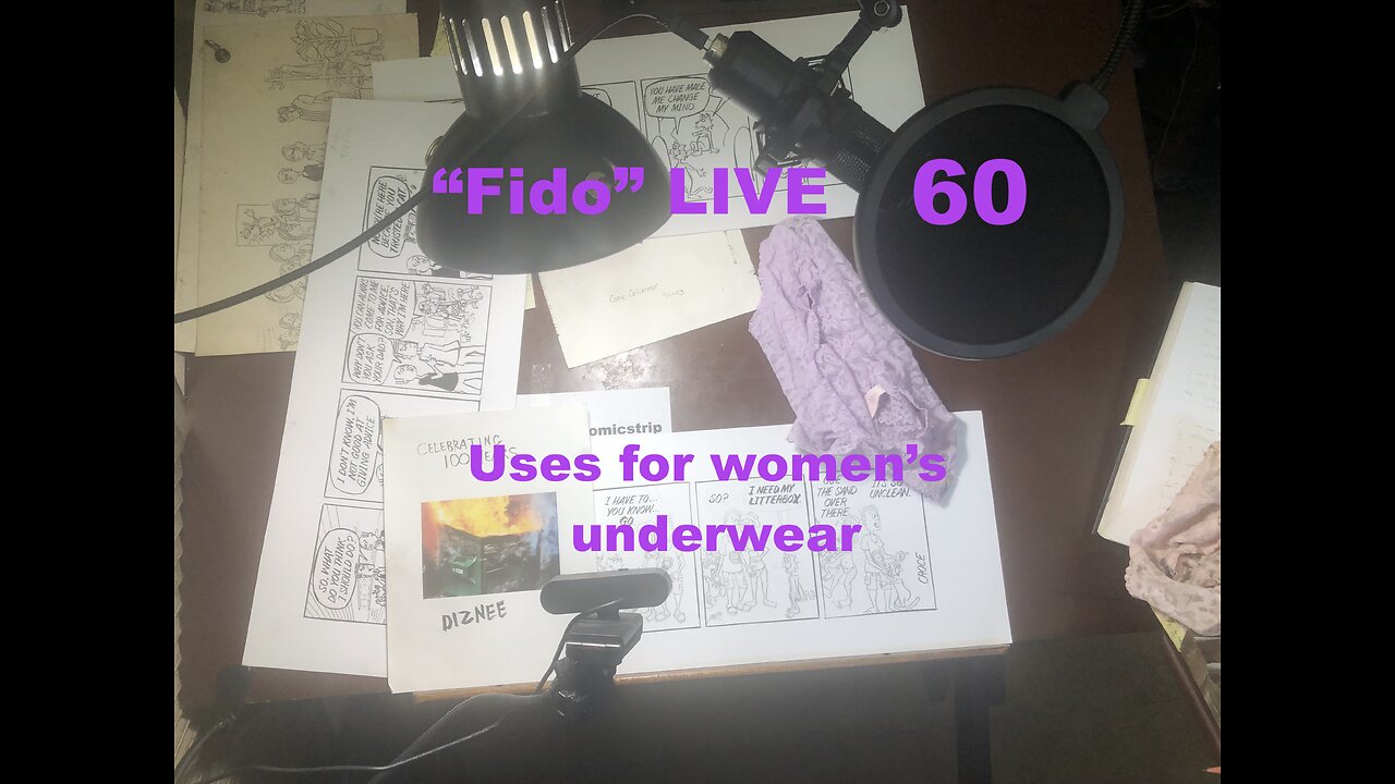 "Fido" LIVE 60: "uses for women's underwear"