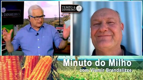 Milho mantendo fôlego na exportação