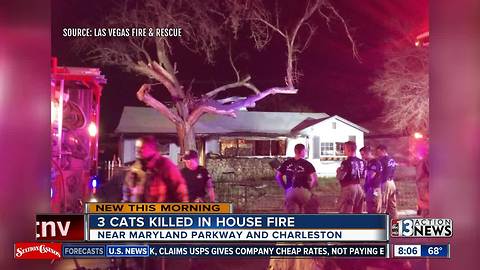 3 cats killed, 2 adults treated for smoke inhalation in house fire