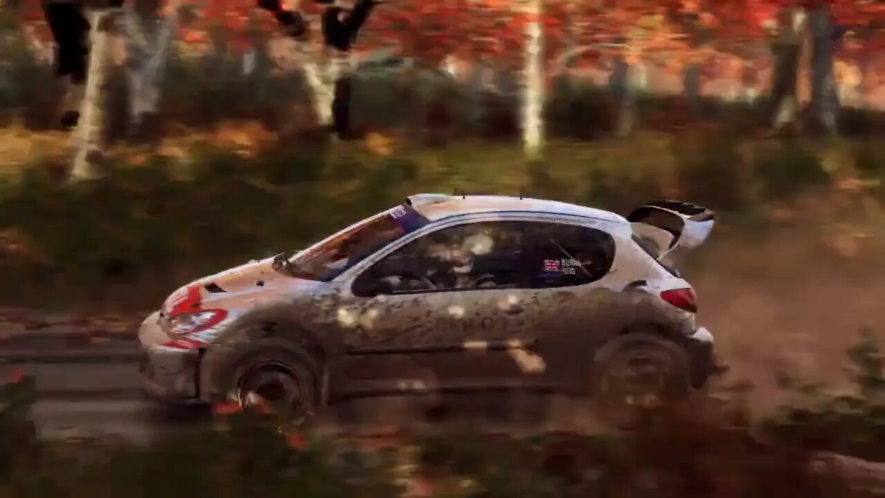 DiRT Rally 2 - Replay - Peugeot 206 at Beaver Creek Trail Forward