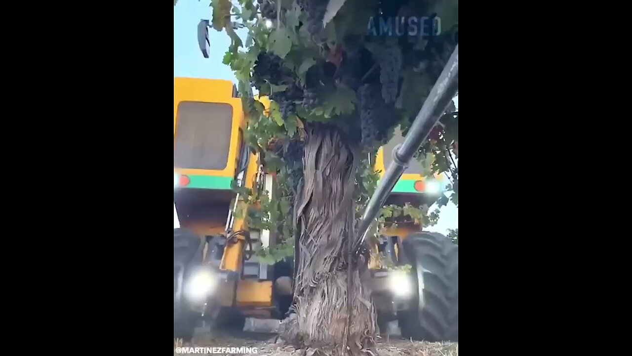 Technology Hike