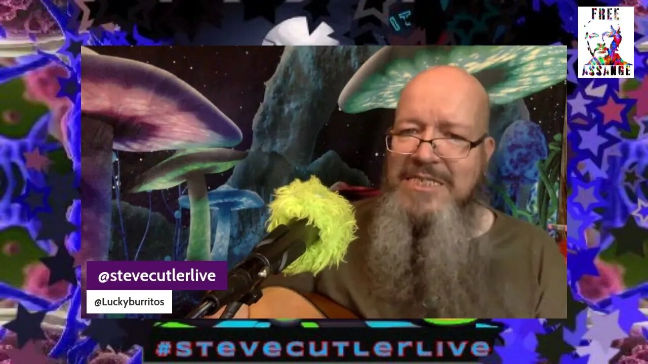 what it's like - #everlast cover by #stevecutlerlive