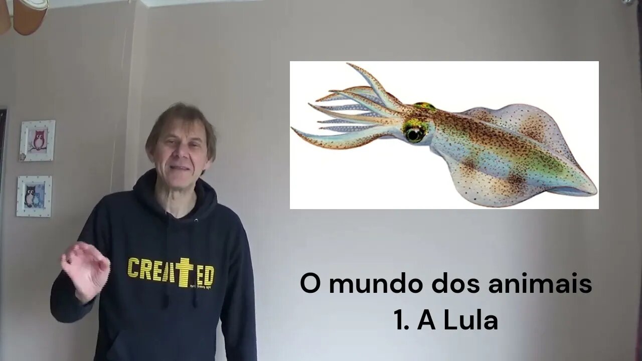 O Mundo dos Animais 1 A Lula