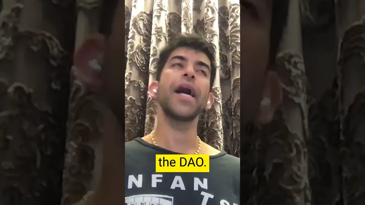 The best DAO