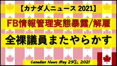 FB情報管理実態暴露そして解雇 全裸議員またやらかす