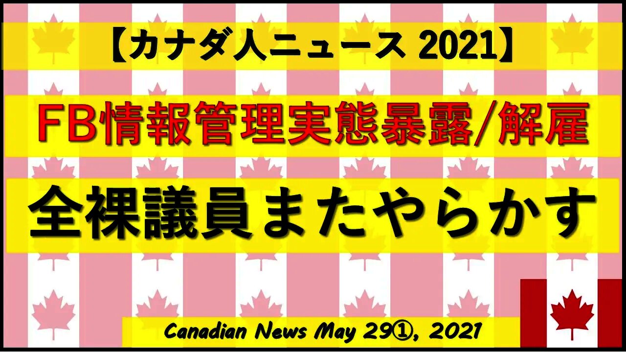 FB情報管理実態暴露そして解雇 全裸議員またやらかす