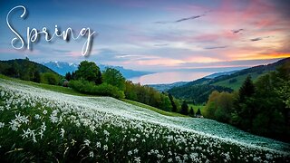 Aylex - Spring #Tropical Music [FreeRoyaltyBackgroundMusic]