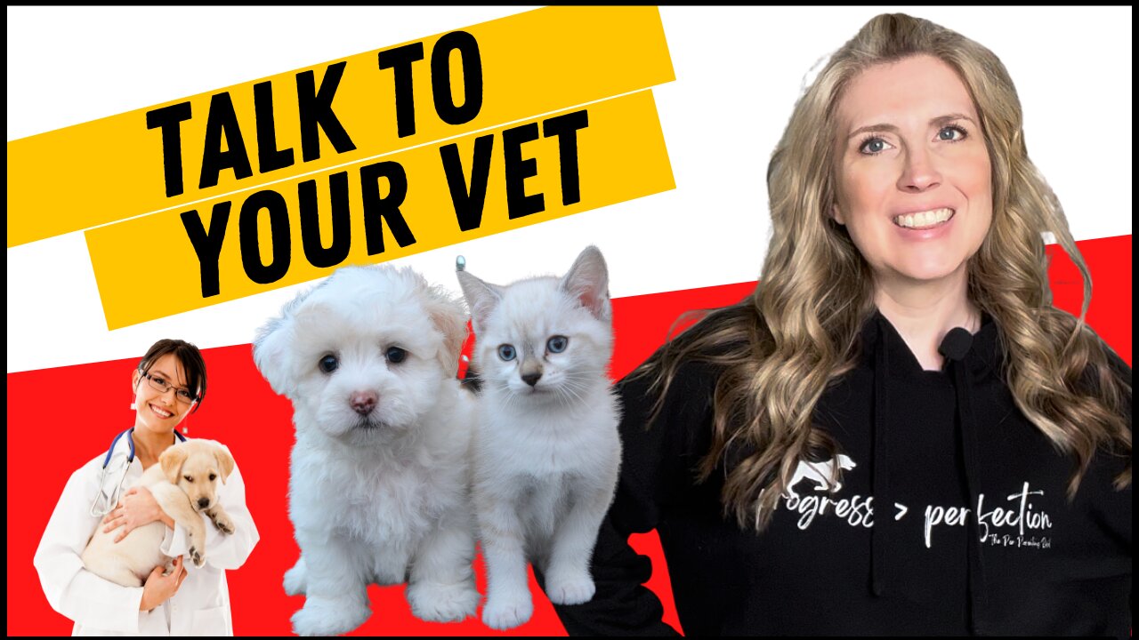 How To Approach Your Vet About Over Vaccination