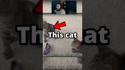 We found The PIECE🧩 #gaming #shorts #reaction