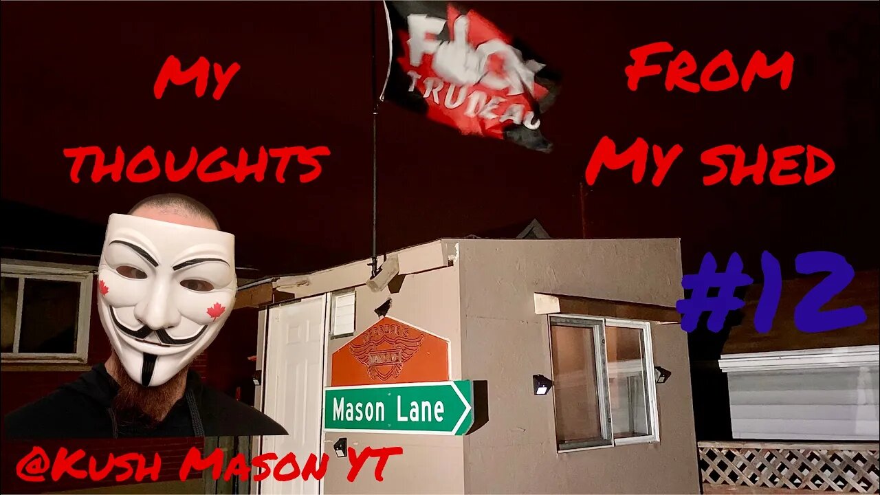 My thoughts from my shed #12