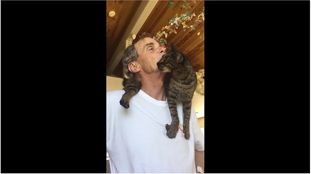 Loving cat can't stop kissing owner