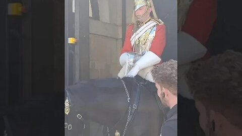 The Horse's name is wrangler #horseguardsparade