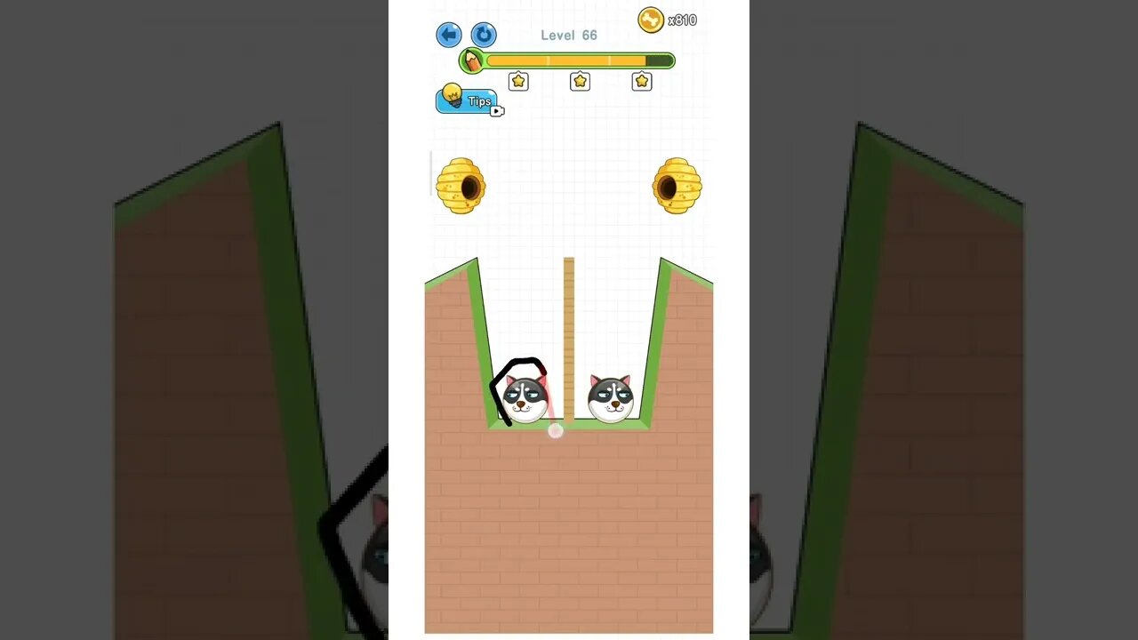 save the doge level 62 until level 69