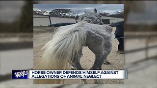 Horse owner defends himself against allegations of animal neglect