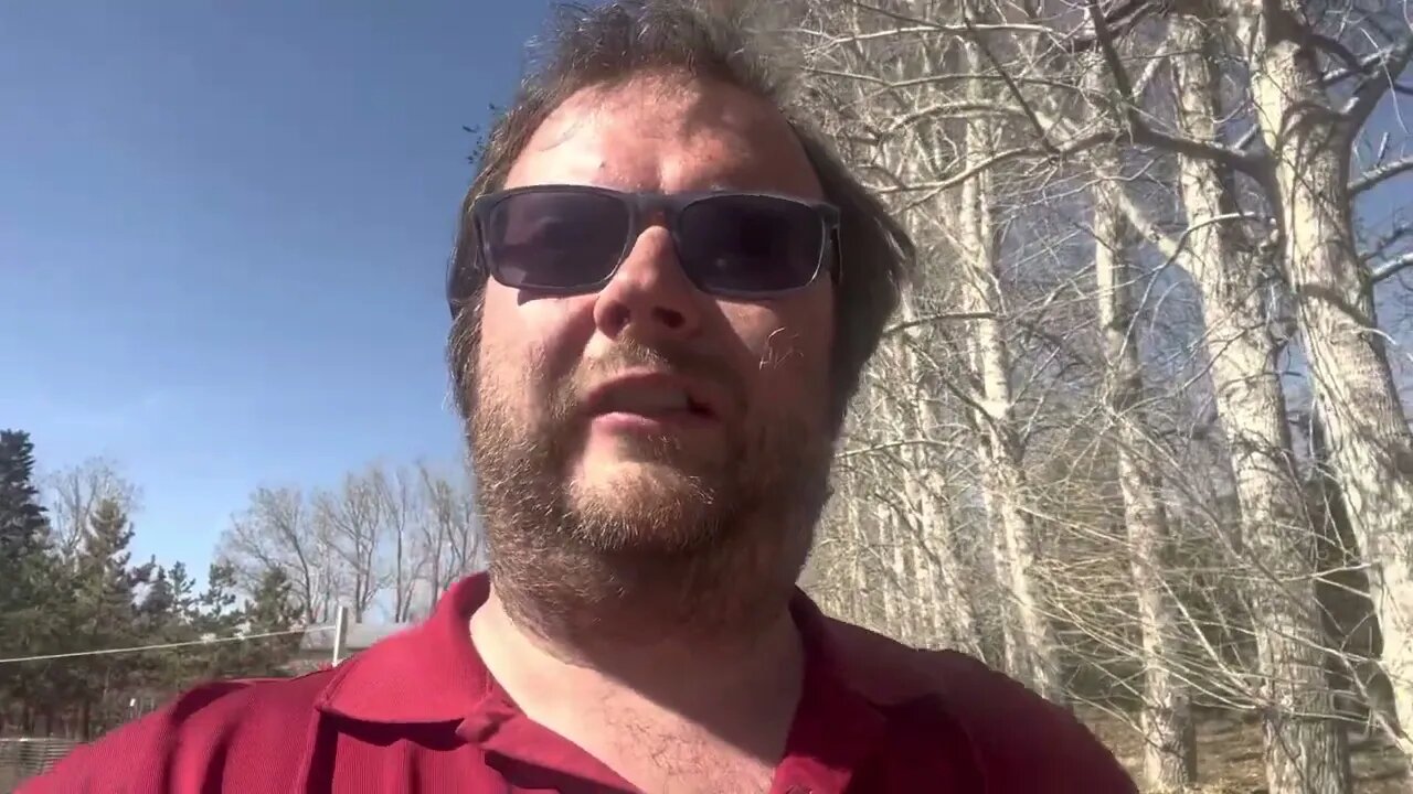 Vlog - Sheep moved, Poplars growing, cleaning out the pond, and first sale of the year.