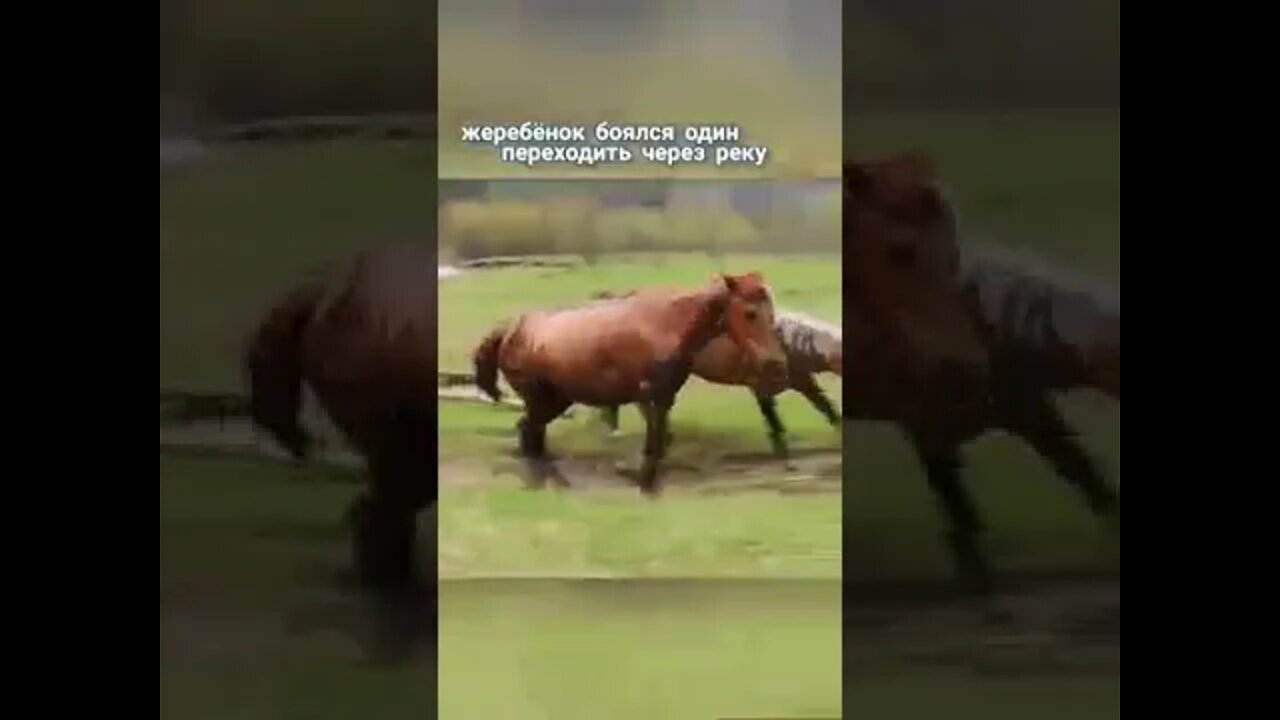 Gorgeous Such support Super (LOWEST)