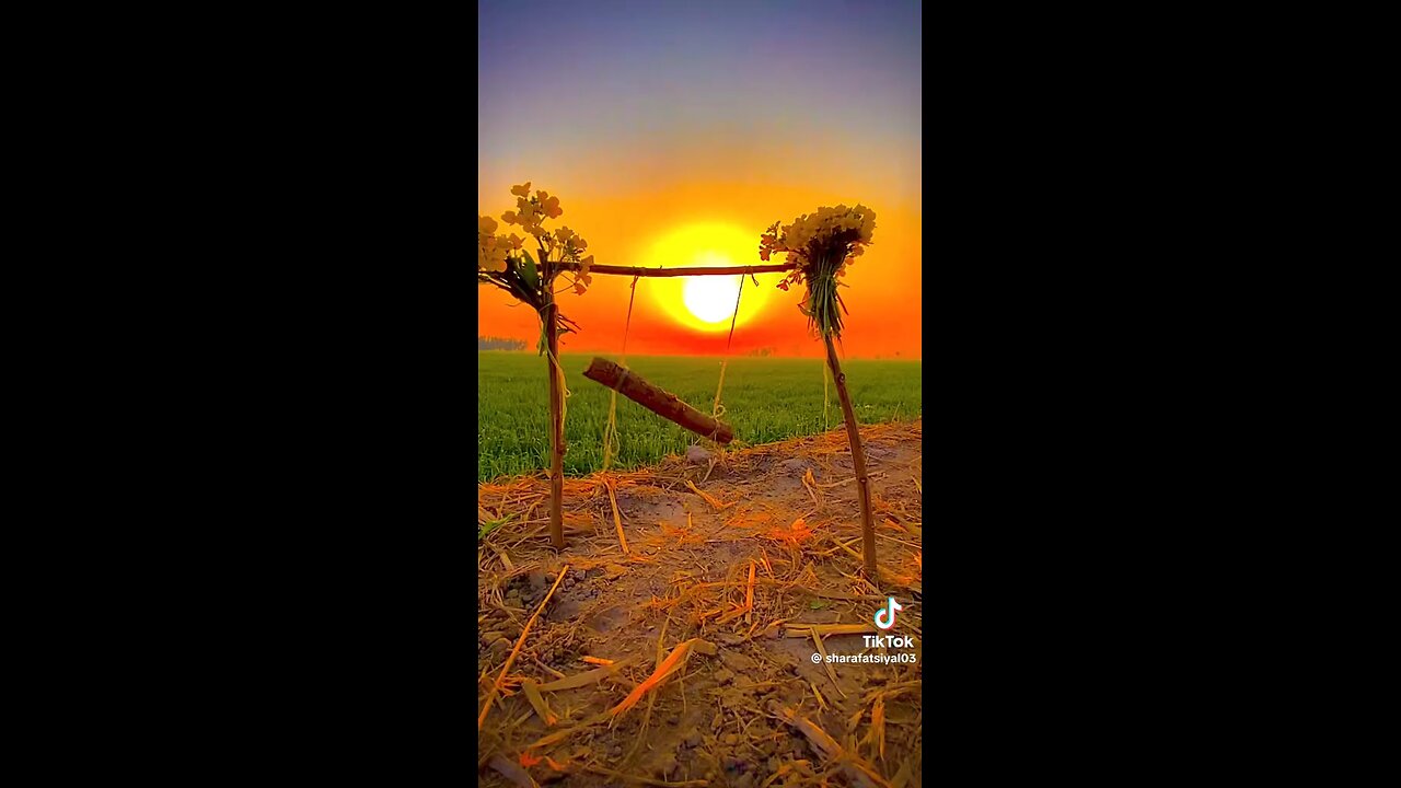 creative view