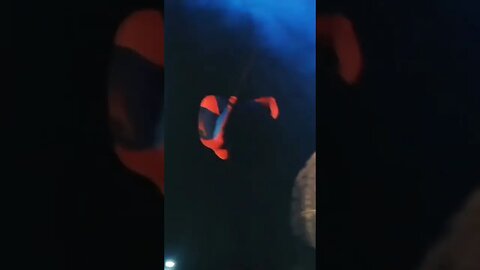 SUPER NINJA, HOMEM-ARANHA DE CABEÇA PARA BAIXO DANÇANDO NO CIRCO DA ALEGRIA, LIKE