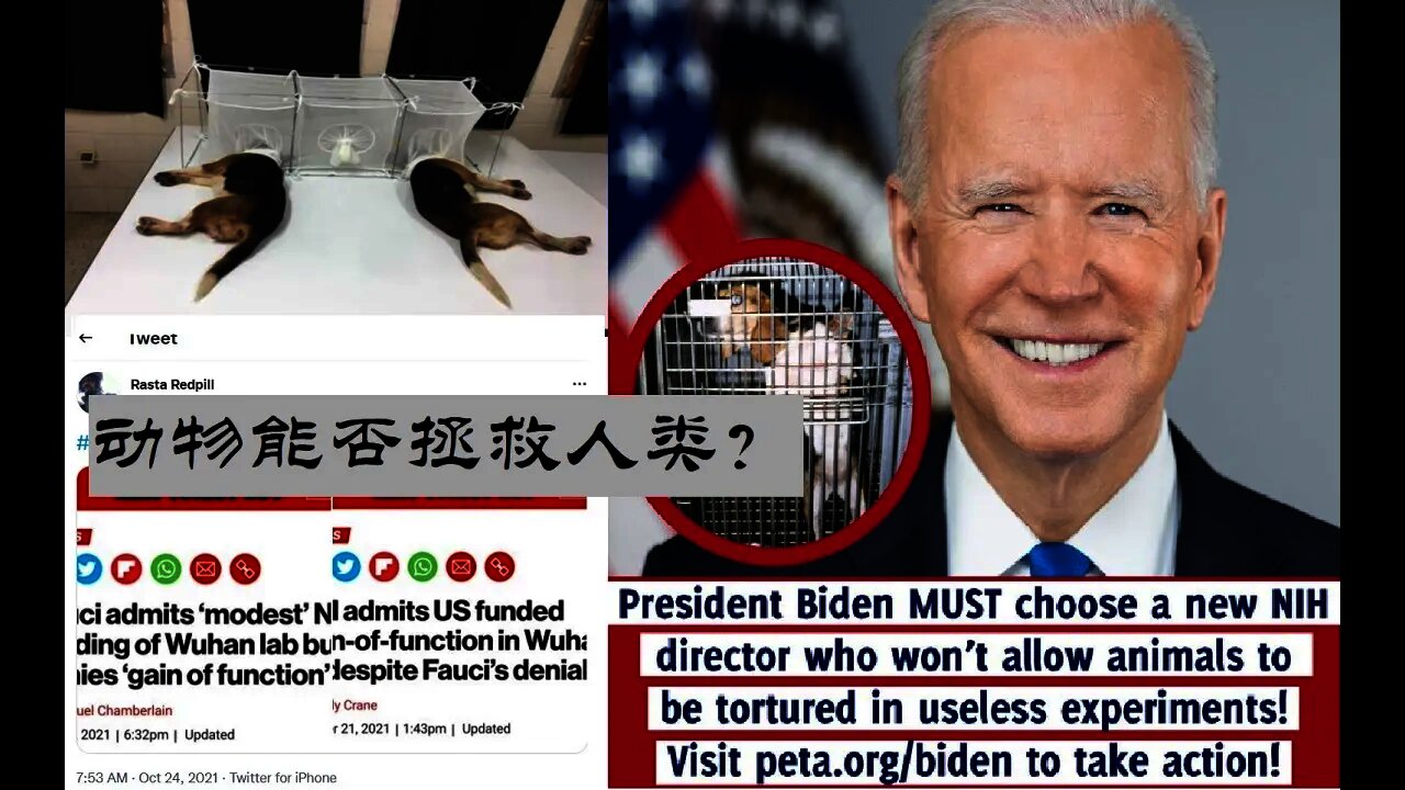 动物能否拯救人类? - 20211026