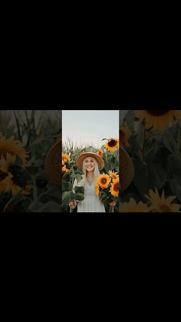 #Shorts #Visit #Ukraine #Україна #Sunflower #Beautiful