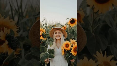 #Shorts #Visit #Ukraine #Україна #Sunflower #Beautiful