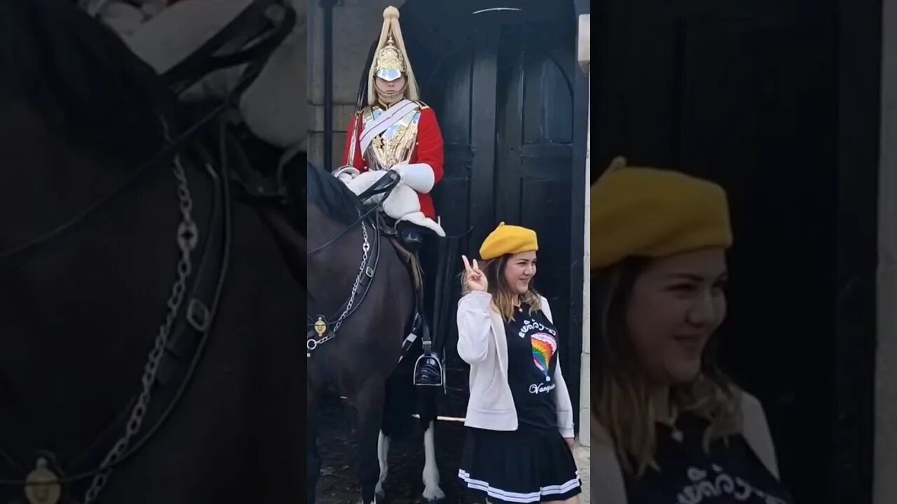 Stupid tourist pokes to see if the horse is real #horseguardsparade