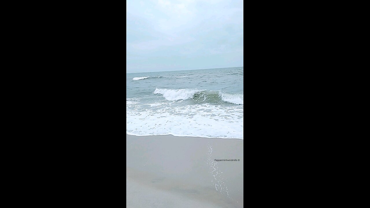 The Roar of the Sea 🌊