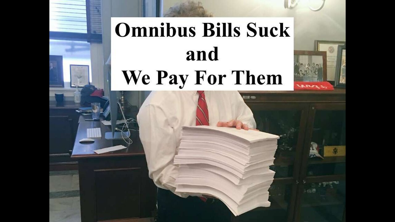 Omnibus Bills Suck and We Pay For Them