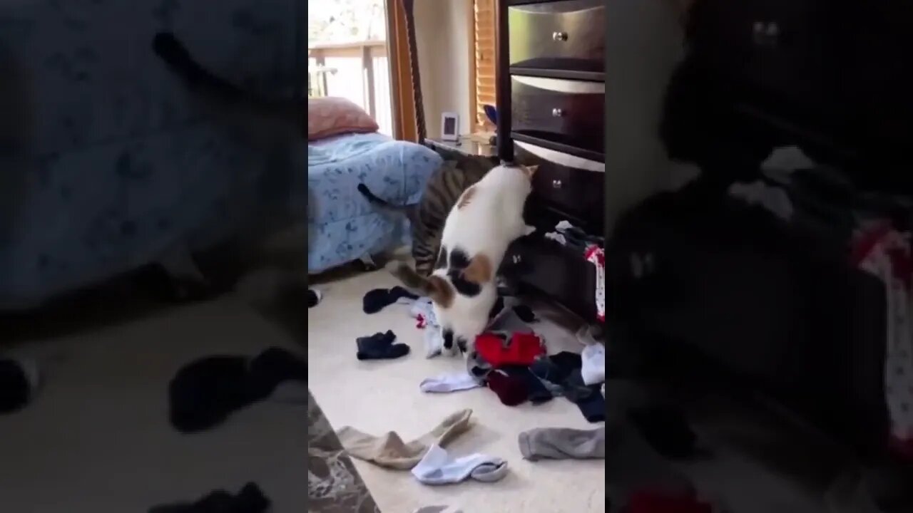 It's in here somewhere