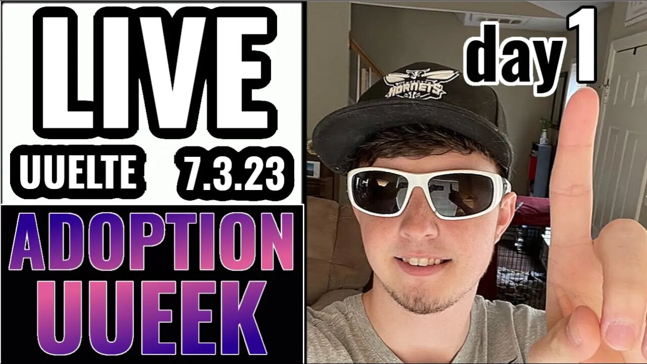 Raising Money for Adoption one DoorDash at a Time (LIVE)