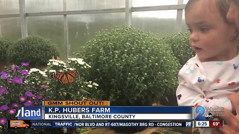 Good morning from K.P Hubers Farm!