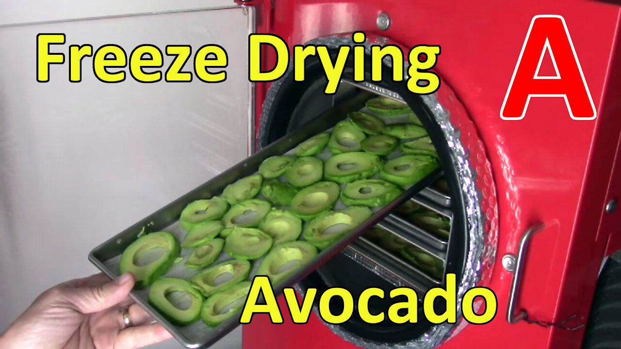 Freeze Drying Avocado Slices