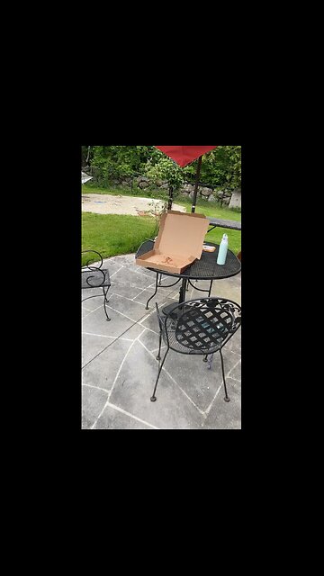 There goes the pizza