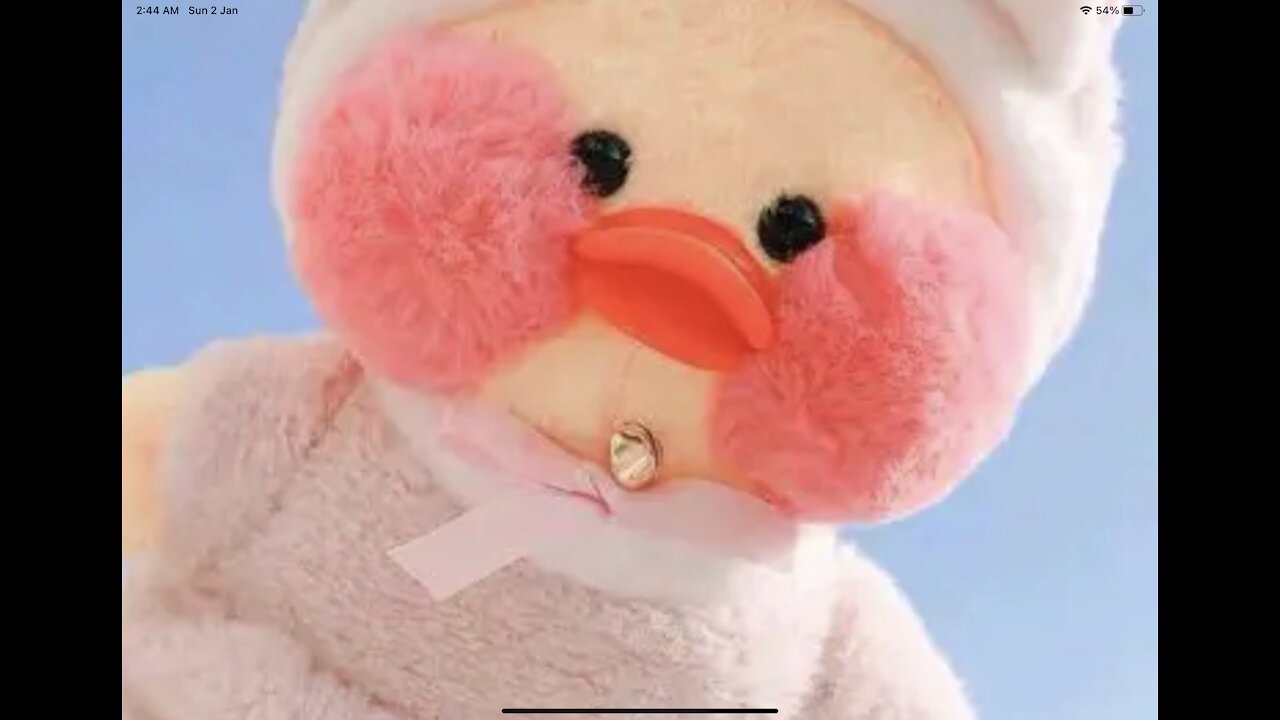 Drawing a duck