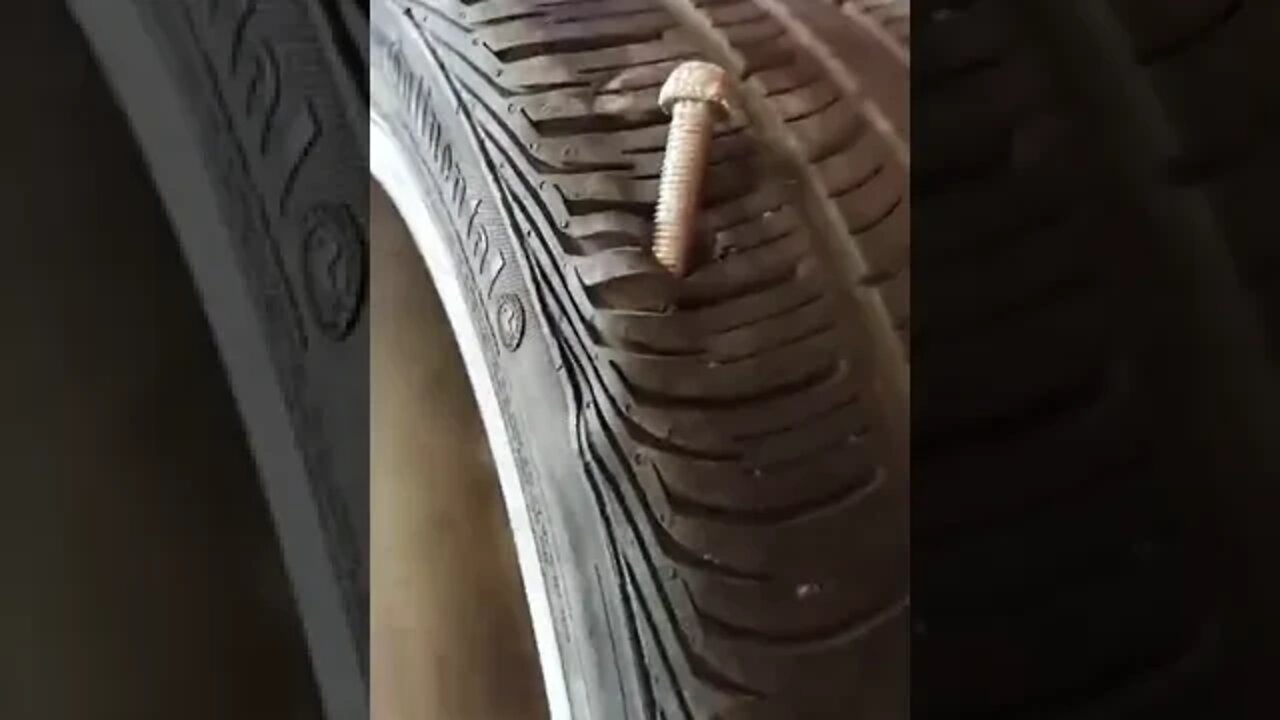 Is it Repairable?