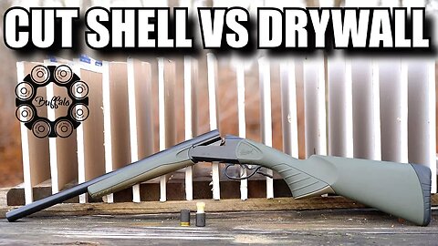 Cut Shell Vs Drywall