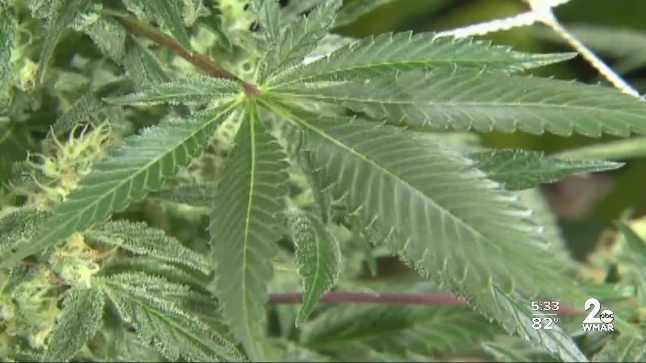 Marilyn Mosby, other criminal justice leaders discuss decriminalization of marijuana