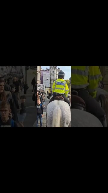 met police horses #horseguardsparade