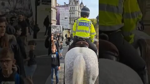 met police horses #horseguardsparade