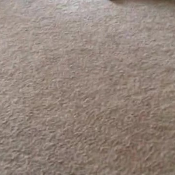 No Treat Can Make This Cat Walk Properly With A Sweater On