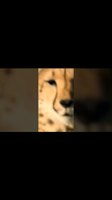 Documentary #shorts #shorts #nature #science