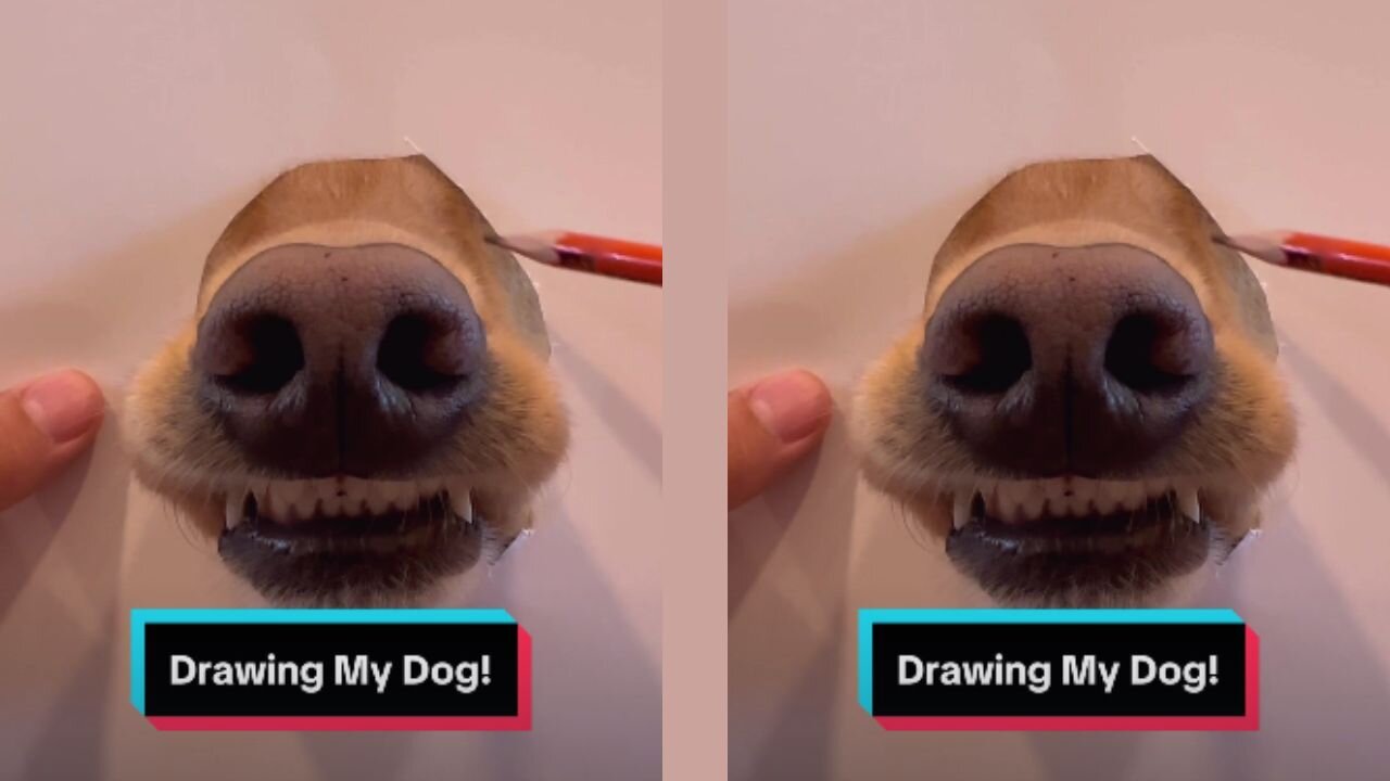 Drawing tutorials be like… #dog #goldenretriever