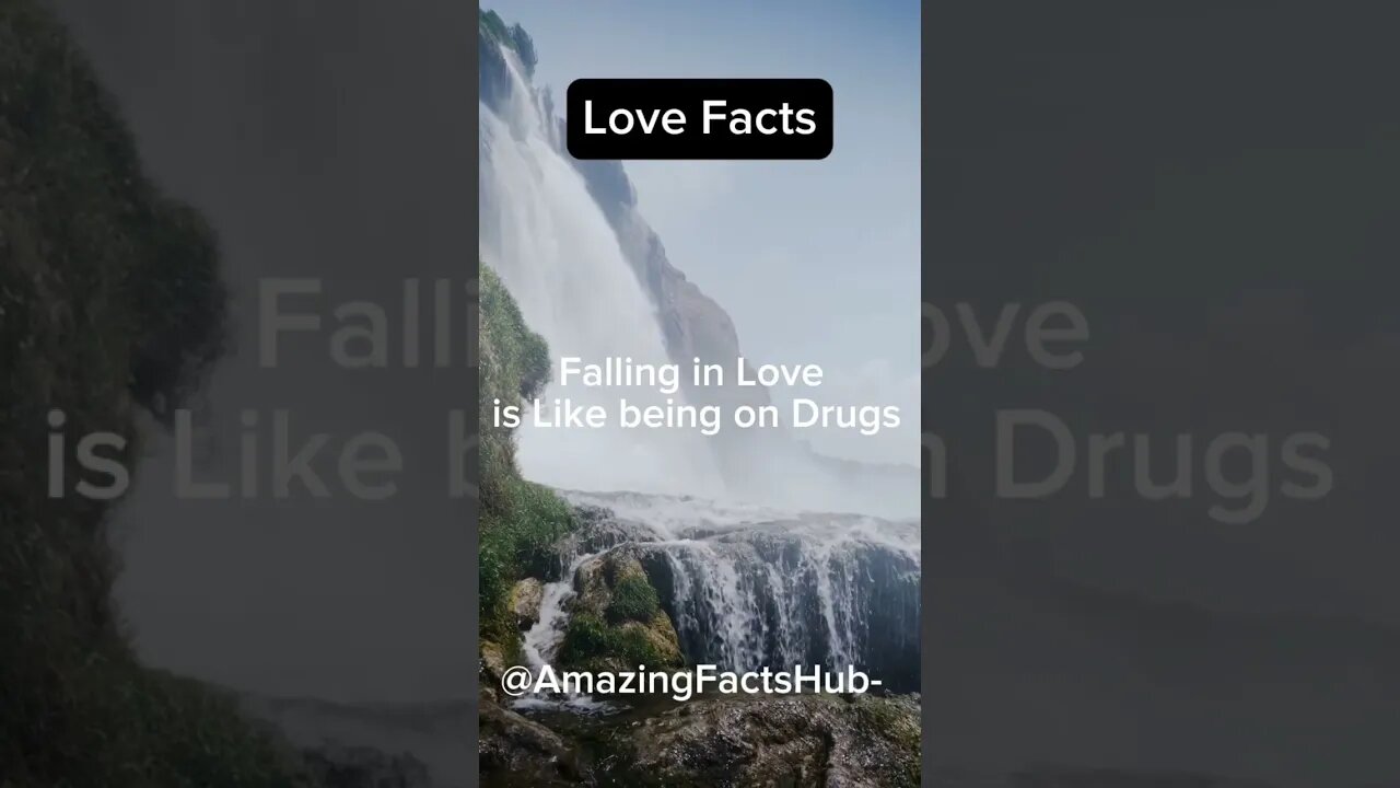 Amazing Facts. Amazing love facts, #shorts #short #trending #facts #love #lovestatus #2023 #trend