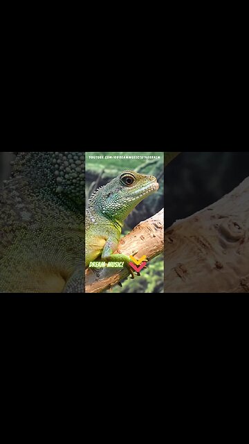 Relaxing Water Flow Sound #short #shorts