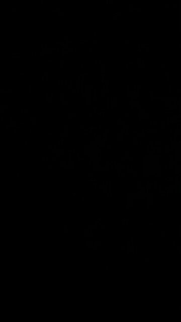 Transgenderism agenda